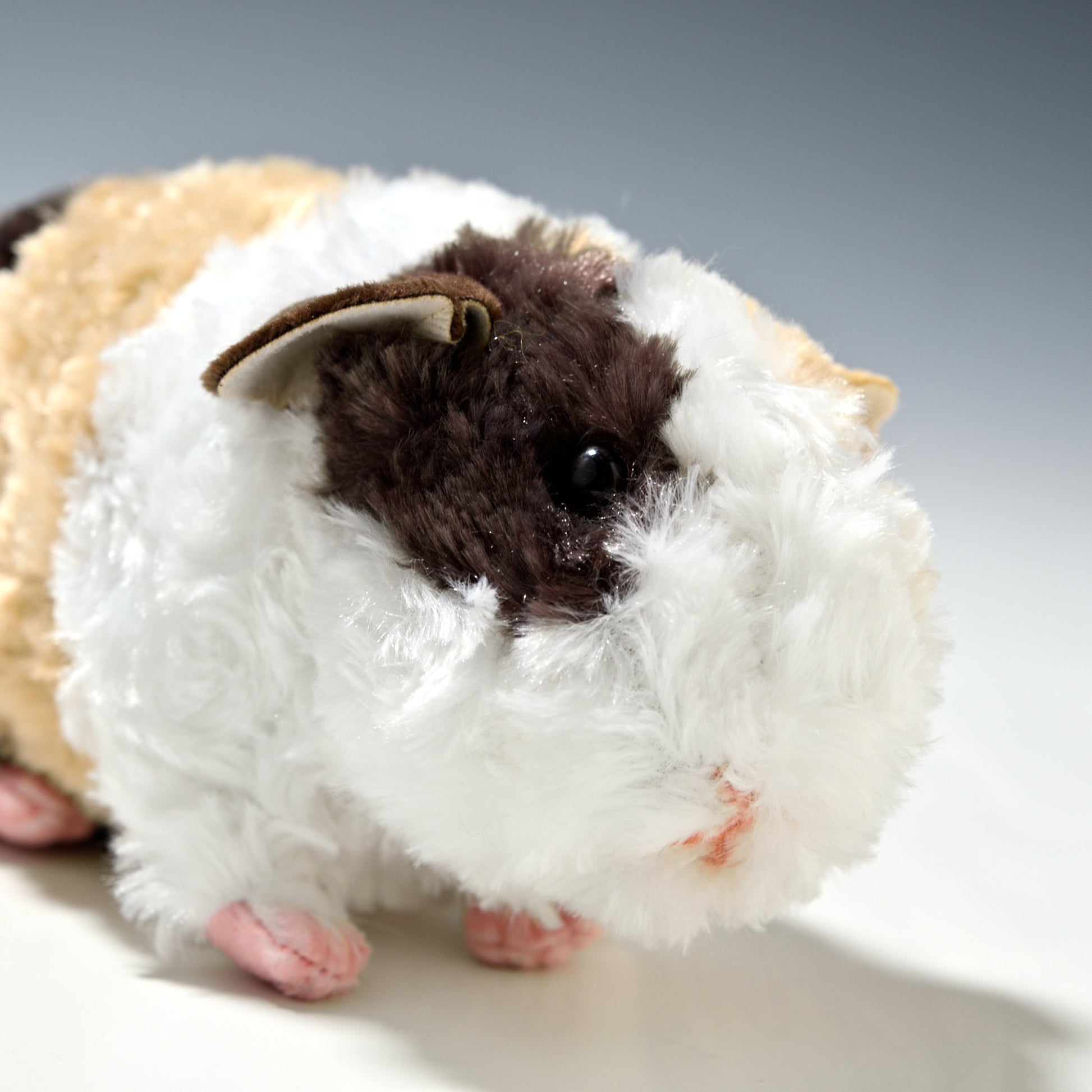 吉徳 ぬいぐるみ りくのなかまたち モルモット テディ 180810 右横顔