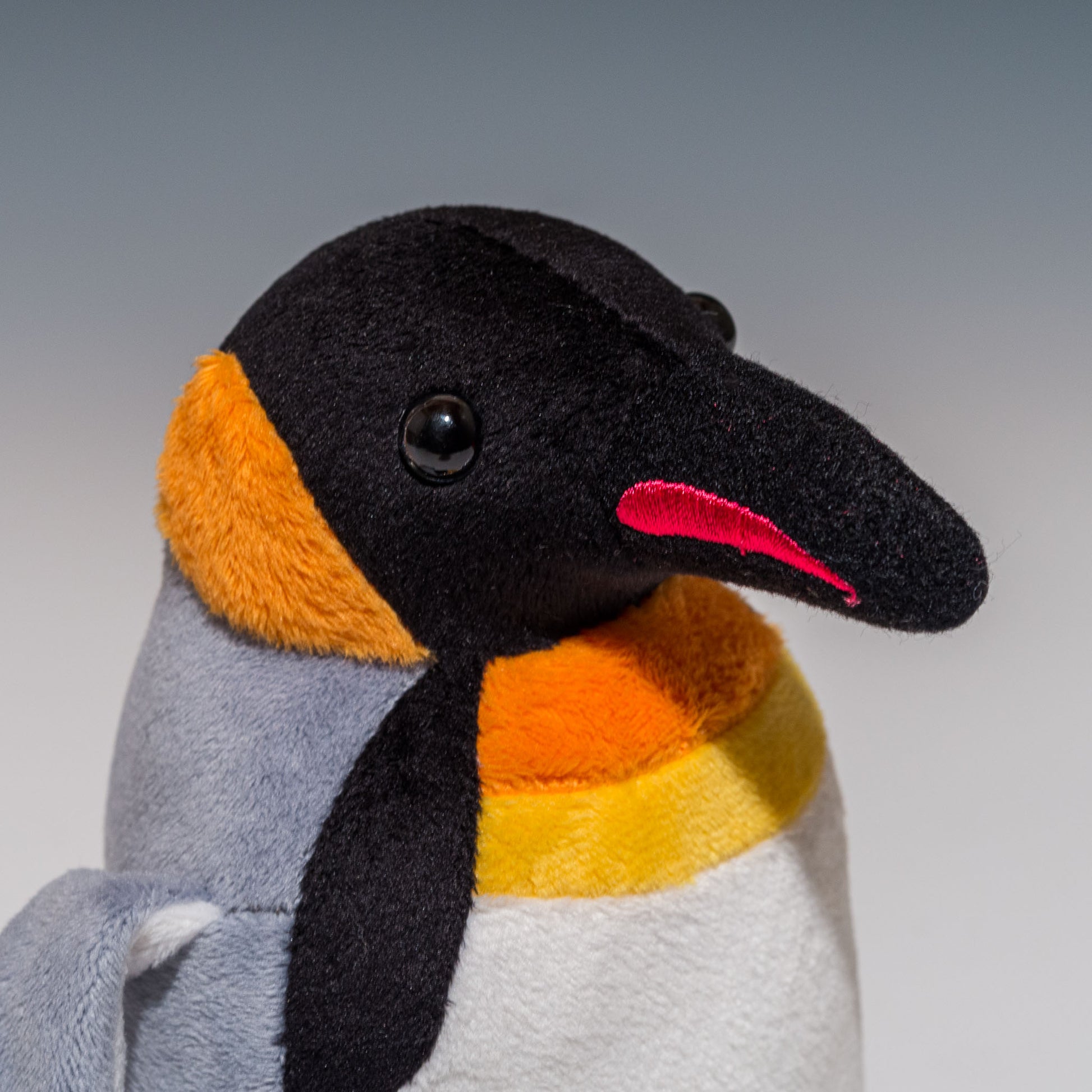 ペンギンコレクション キングペンギン 00100281 | アクア AQUAの右横顔