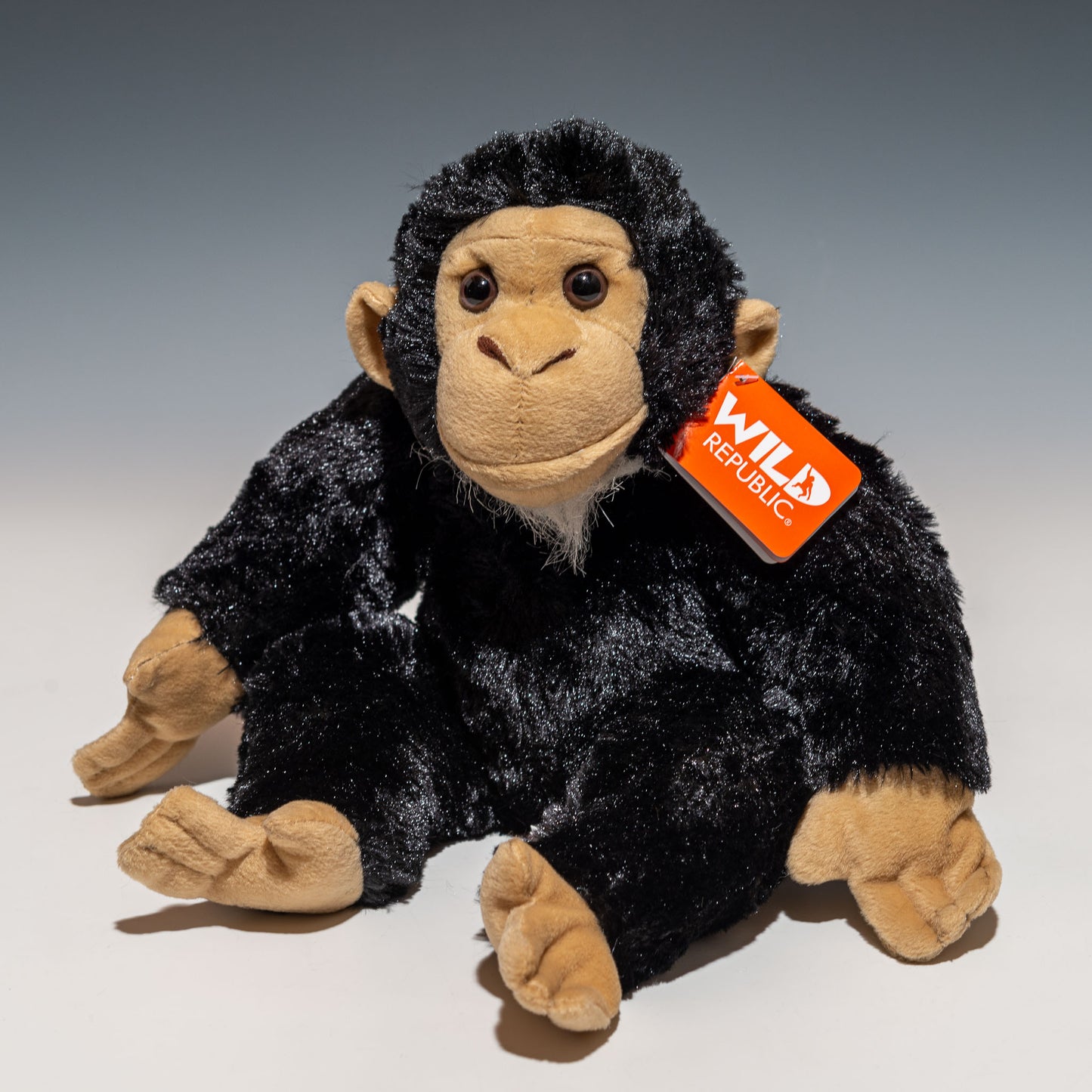 チンパンジー 16521 | ワイルドリパブリック WILD REPUBLICの正面