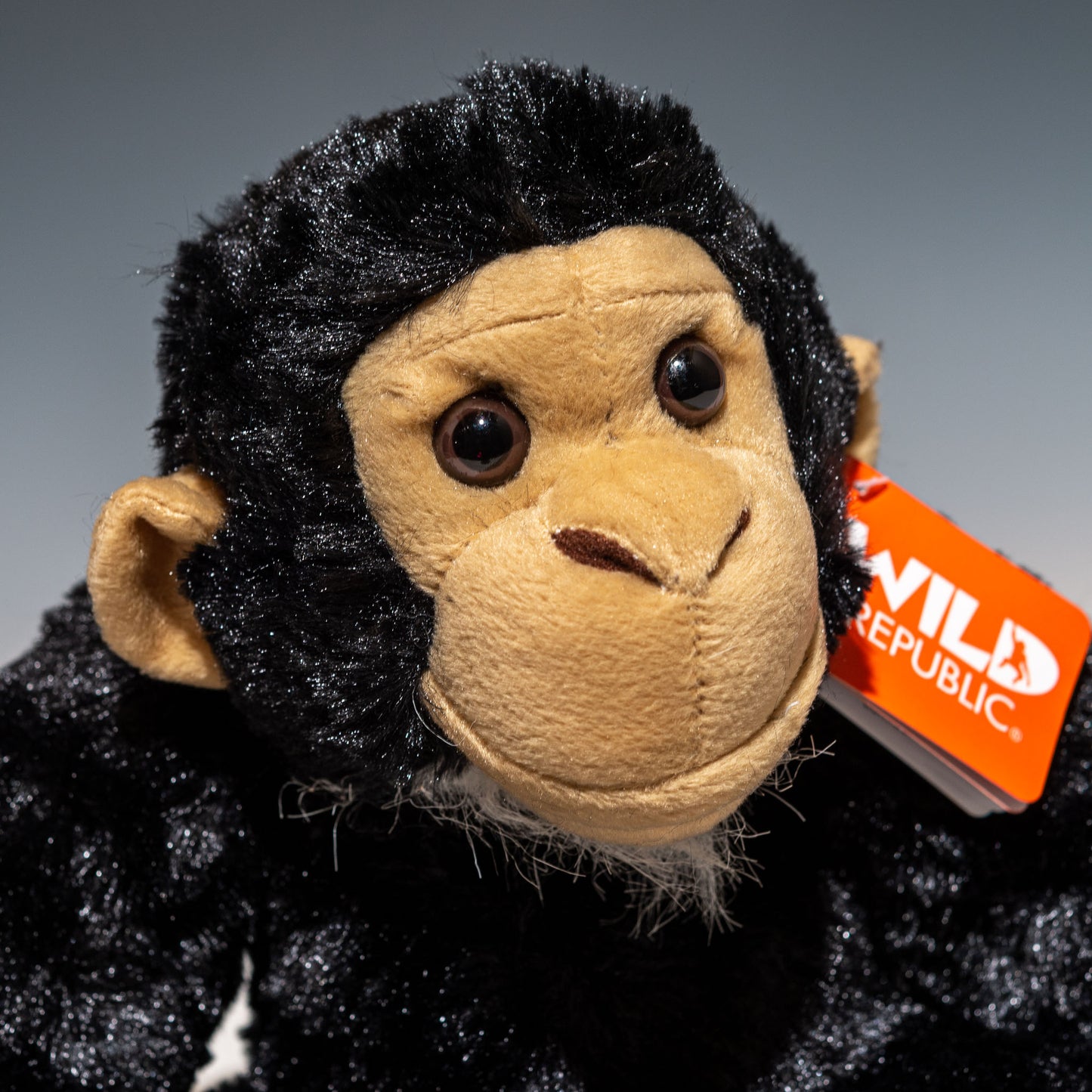 チンパンジー 16521 | ワイルドリパブリック WILD REPUBLICの右横顔