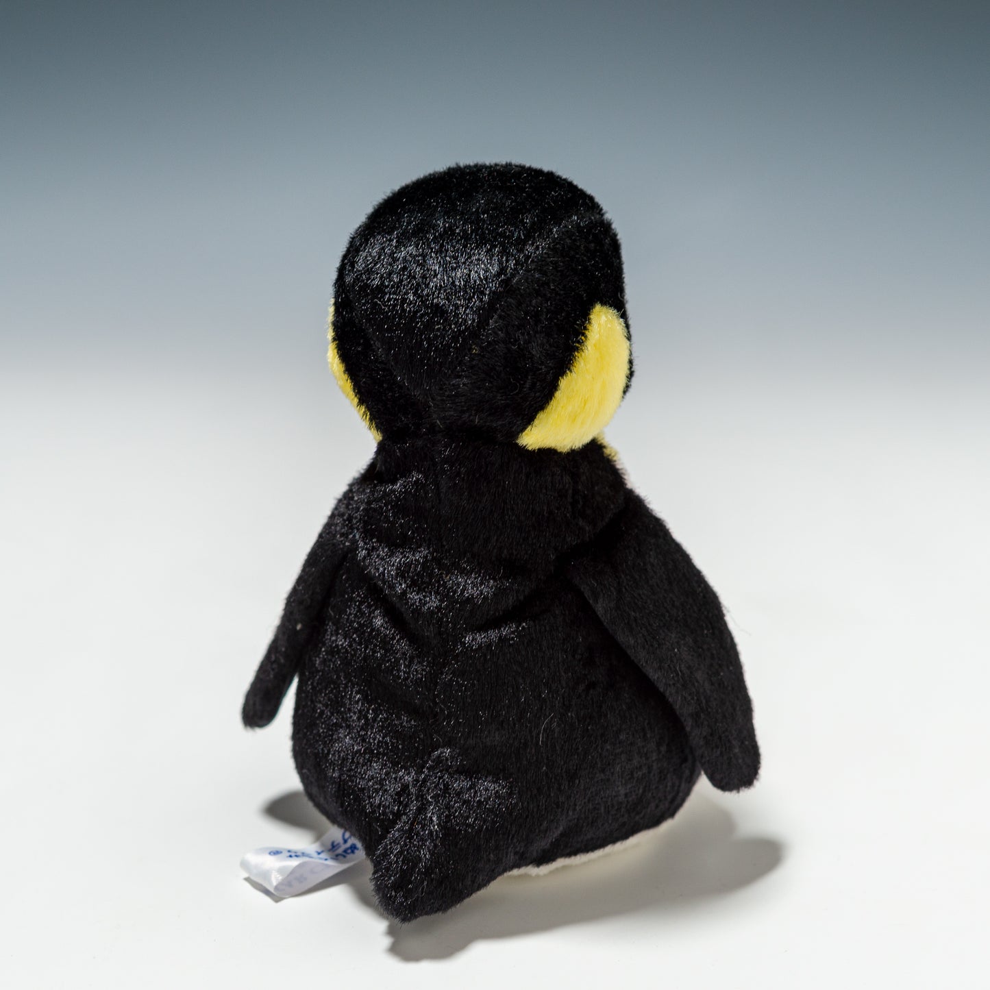 キングペンギン 1345 | スターチャイルド STAR CHILDの後ろ姿