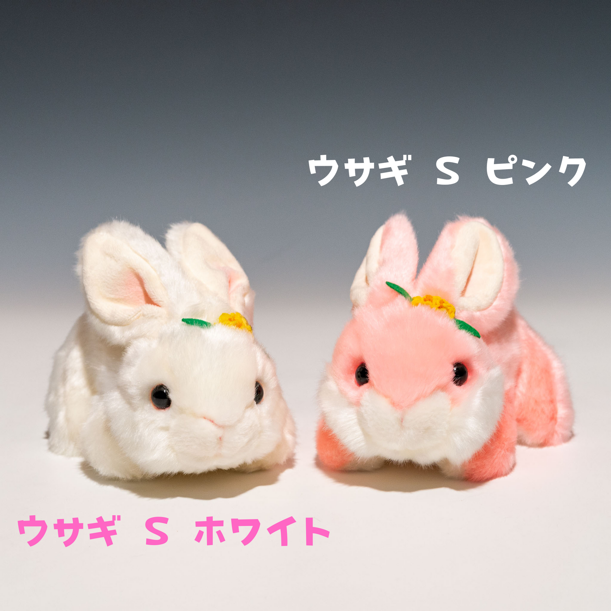 ウサギ S ピンク F0105 | キュート販売 CUTEのホワイトSと一緒の写真