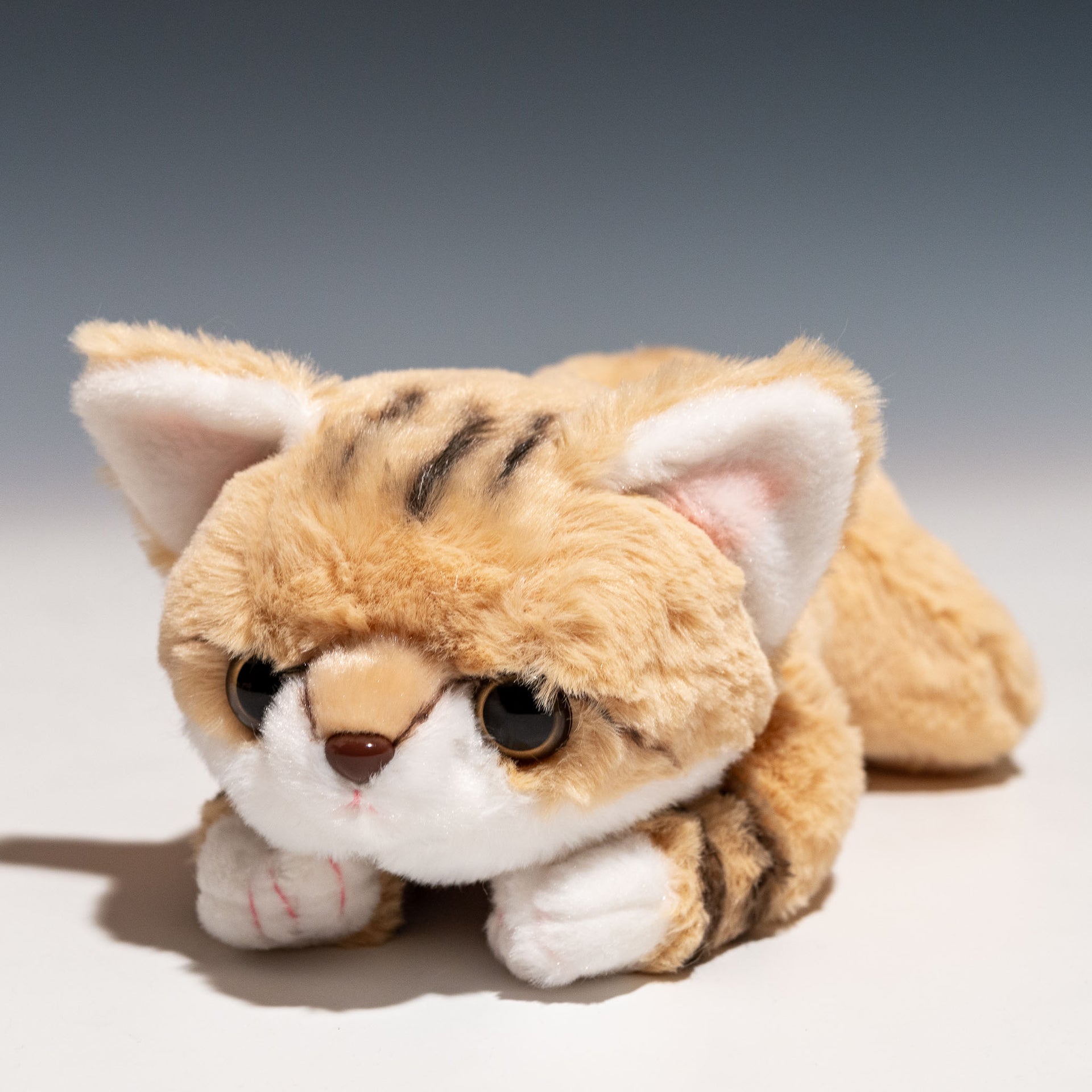 CUT-Z0322-1.jpg?v=1630392994& 