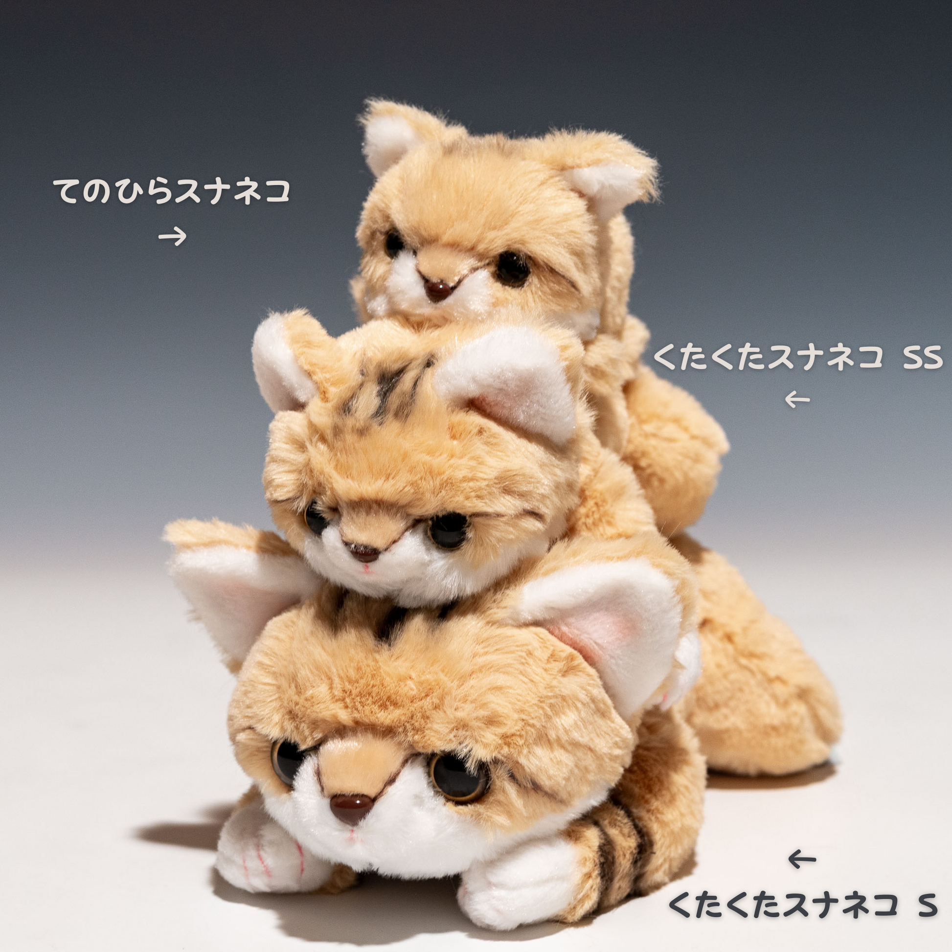 キュート販売 CUTEくたくたスナネコが積み重なった写真