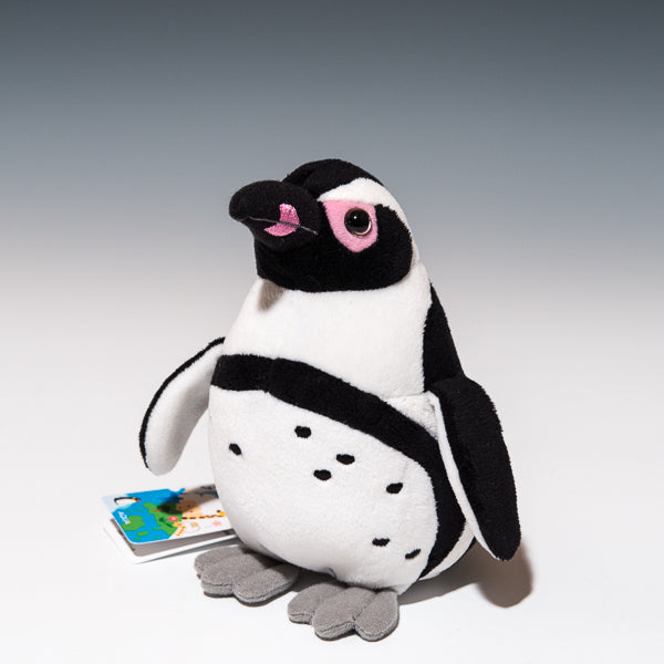 アクア AQUA ぬいぐるみ ペンギンコレクション ケープペンギン 00100283の正面から